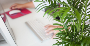 Quel est le prix d'une Mutuelle Collective Entreprise en 2025 ? Quel coût à l'année ?