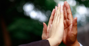 Team building pour la cohésion et motivation : comment l'organiser ?