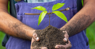 Créer une entreprise de jardinier paysagiste : procédure, réglementation, étapes pour réussir