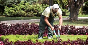 RC Pro jardinier paysagiste : comment choisir ? Quel coût ?