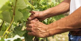 Embauche de main-d'œuvre étrangère : quelles règles ? Quelles formalités ?